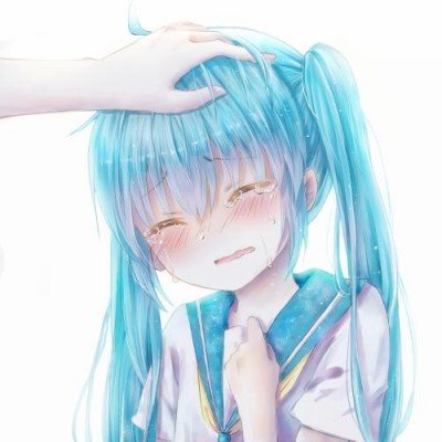 街道回应城管执法时卖菜老太倒地身亡
